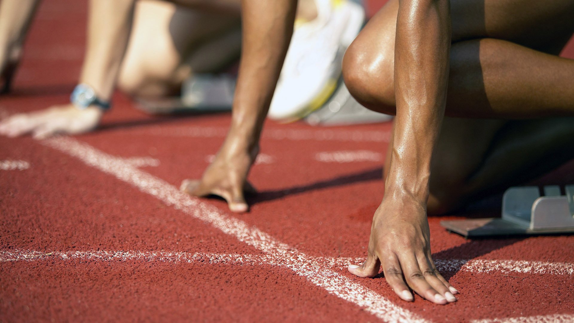 美加墨世界杯焦点战启示录，从灰熊式防守看广东队进攻体系的破局之思